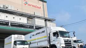 Hulic eyes top banana distributor in diversification push