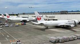 JAL, Hulic to build customs warehouse near Tokyo's Narita Airport