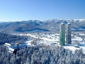 China's Fosun to sell Hoshino Resorts Tomamu for Y41bn