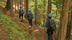 Japan requires large forest land buyers to register nationalities