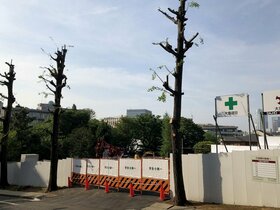 Mitsubishi acquires 2,400 m2 of residential land in Shirokane, Minato-ku