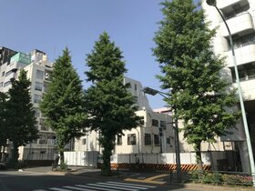 Railway operator Keisei developing apartment building in Bunkyo-ku