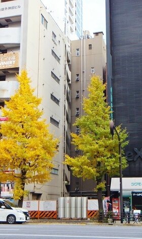 Hulic to develop retail facility in Akihabara