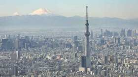 Central Tokyo existing condo prices level off as investment demand wanes