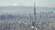 Central Tokyo existing condo prices level off as investment demand wanes