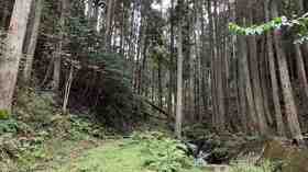 Japan to tighten rules for foreign corporations buying large plots